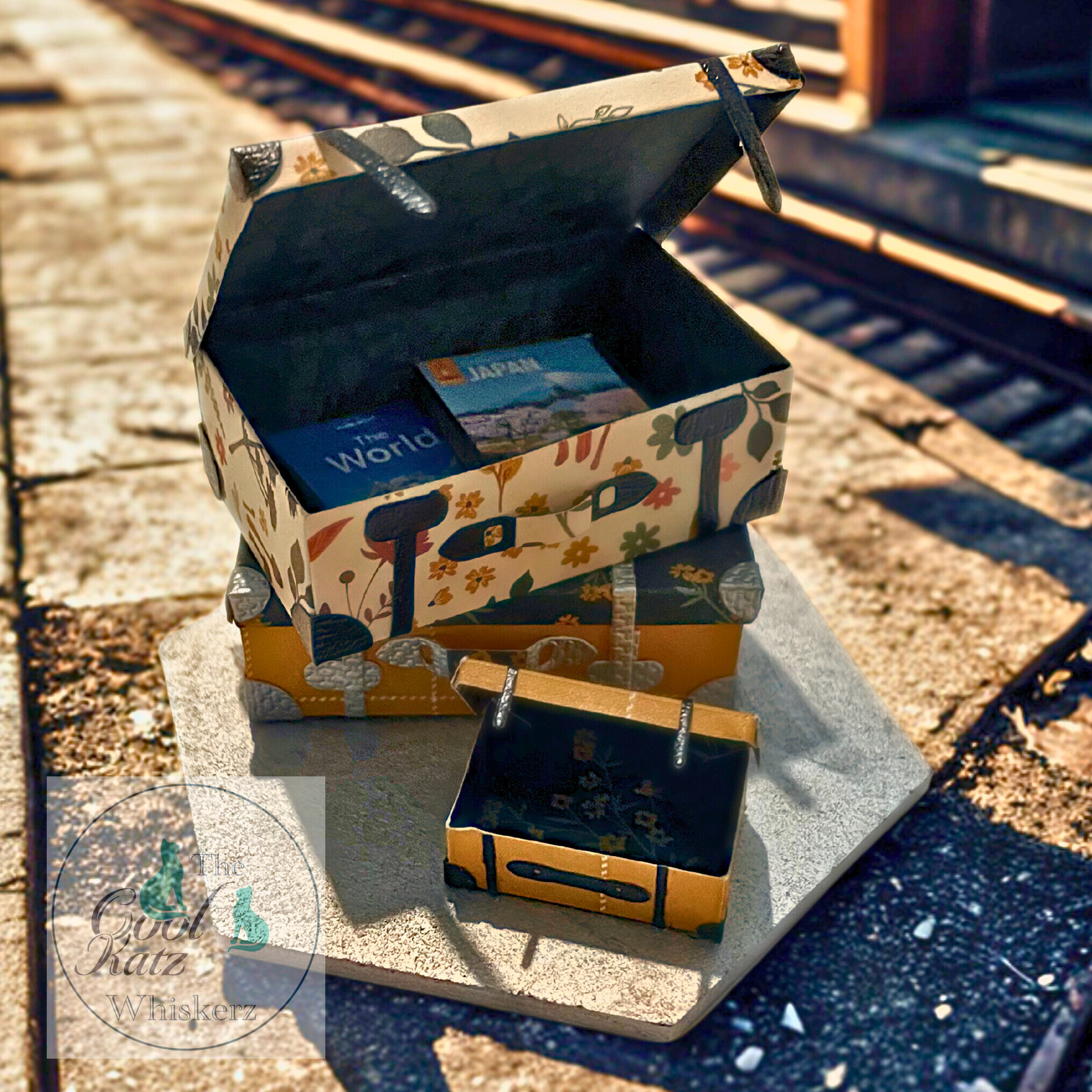 Faye's amazing suitcases