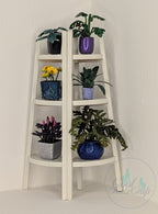 2026 CKCHQ Tuesday May 19th 10am - 4pm Miniature class with Kay
