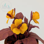 Miniature Flower Petal Cluster Die Set for 12th & 24th scale