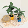 Palm Leaves Die Set for 12th & 24th scales