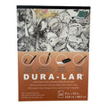 Grafix Dura-lar  9" x 12" .005 double sided matte film