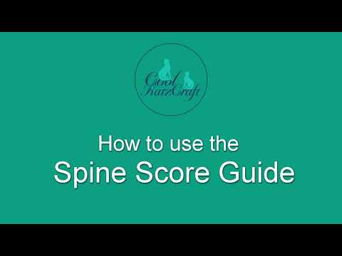 Clever Tools: Spine Score Guide
